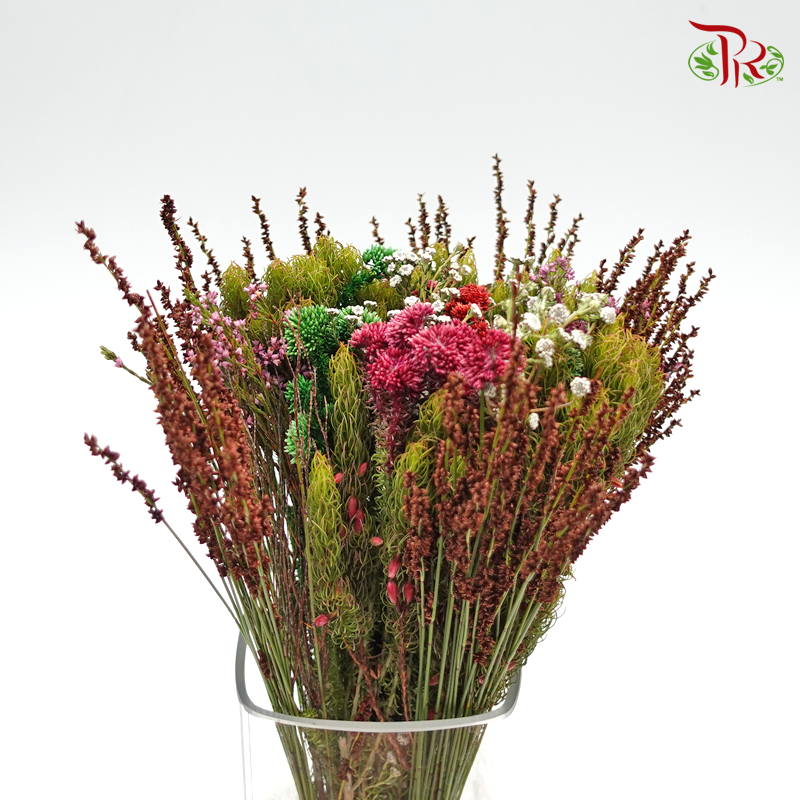 Safari Mix (Cone/Cape) - #7 (Per Bunch) **Random Choose Cone/Fillers-Green-Africa-prflorist.com.my