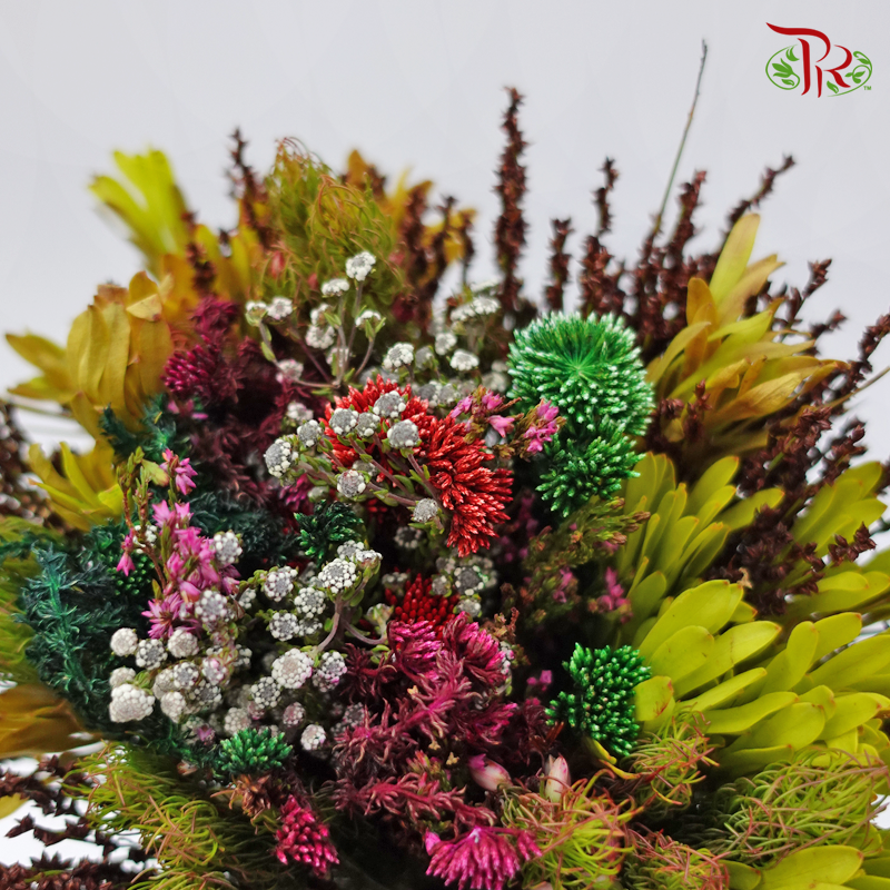 Safari Mix (cone/cape) 8 - (Per Bunch)-Africa-prflorist.com.my