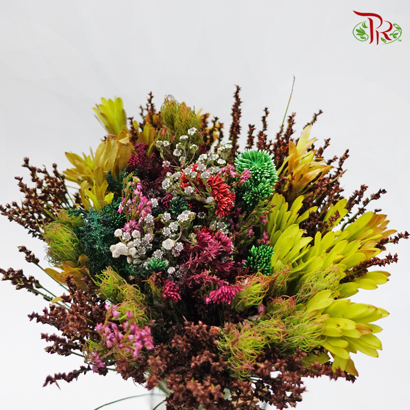 Safari Mix (cone/cape) 8 - (Per Bunch)-Africa-prflorist.com.my