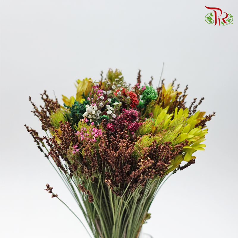 Safari Mix (cone/cape) 8 - (Per Bunch)-Africa-prflorist.com.my