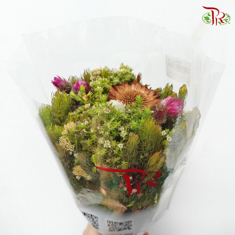 Safari Mix (Cone/Cape/Autumn Pink/ Edelkeur) - #1 (Per Bunch) **Random Choose Cone/Fillers-Pink-Africa-prflorist.com.my