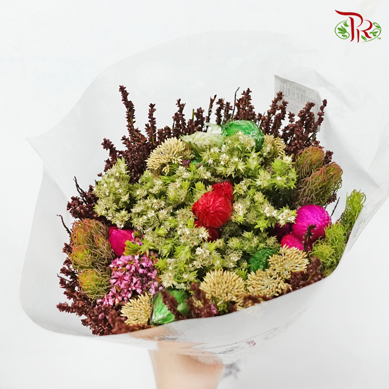 Safari Mix (Cone/Cape/Autumn Pink/ Edelkeur) - (Per Bunch) **Random Choose Cone/Fillers-Africa-prflorist.com.my