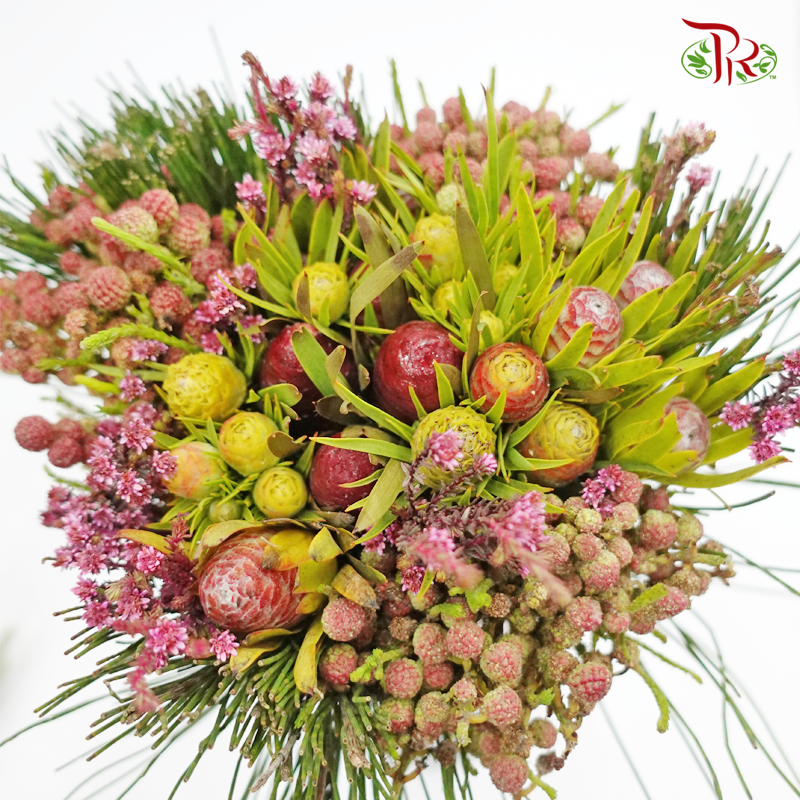 Safari Mix (Cone/Cape) Bouquet - #12 (Per Bunch) **Random Choose Cone/Fillers-Africa-prflorist.com.my