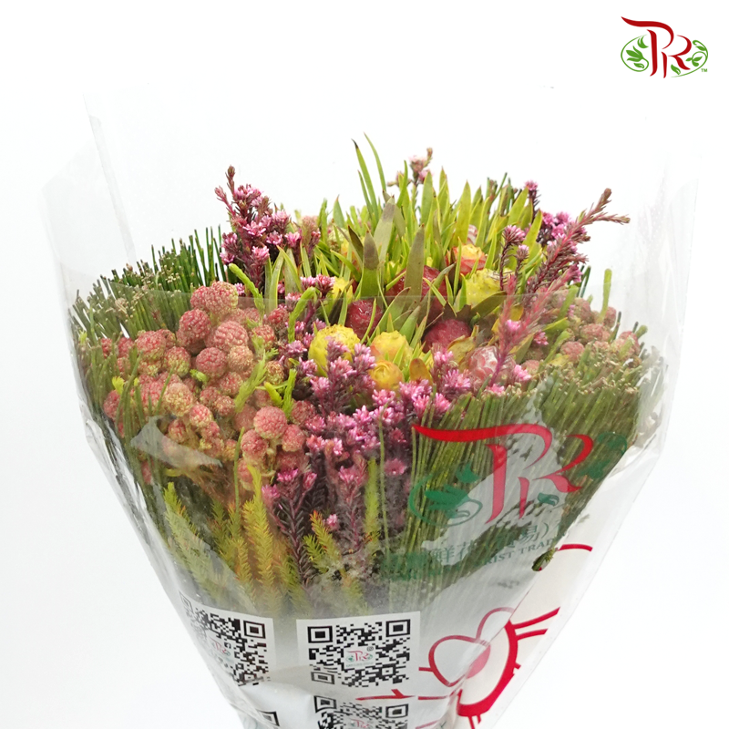 Safari Mix (Cone/Cape) Bouquet - #12 (Per Bunch) **Random Choose Cone/Fillers-Africa-prflorist.com.my