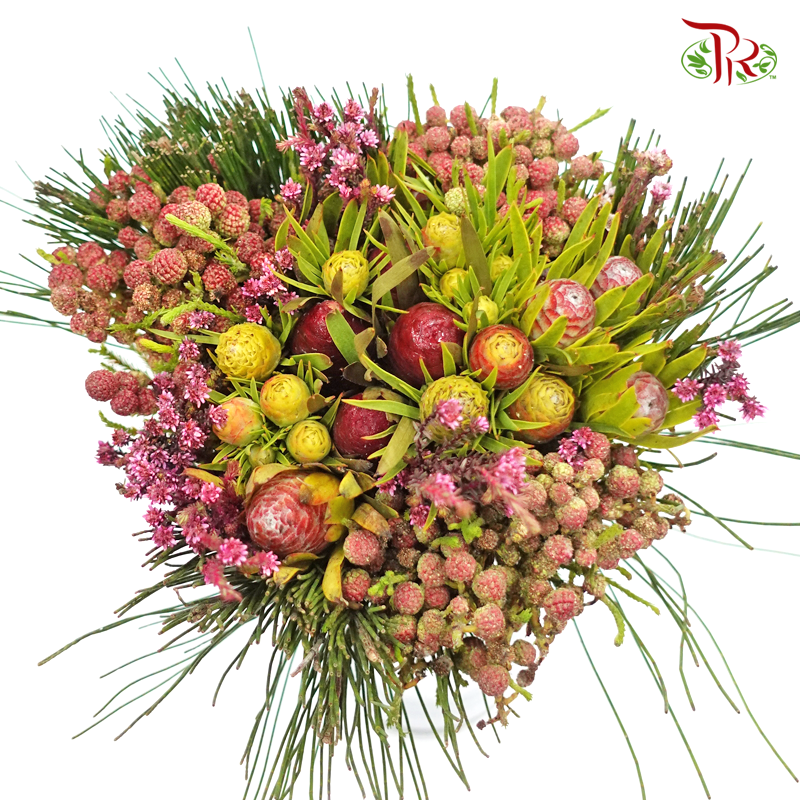 Safari Mix (Cone/Cape) Bouquet - #12 (Per Bunch) **Random Choose Cone/Fillers-Africa-prflorist.com.my
