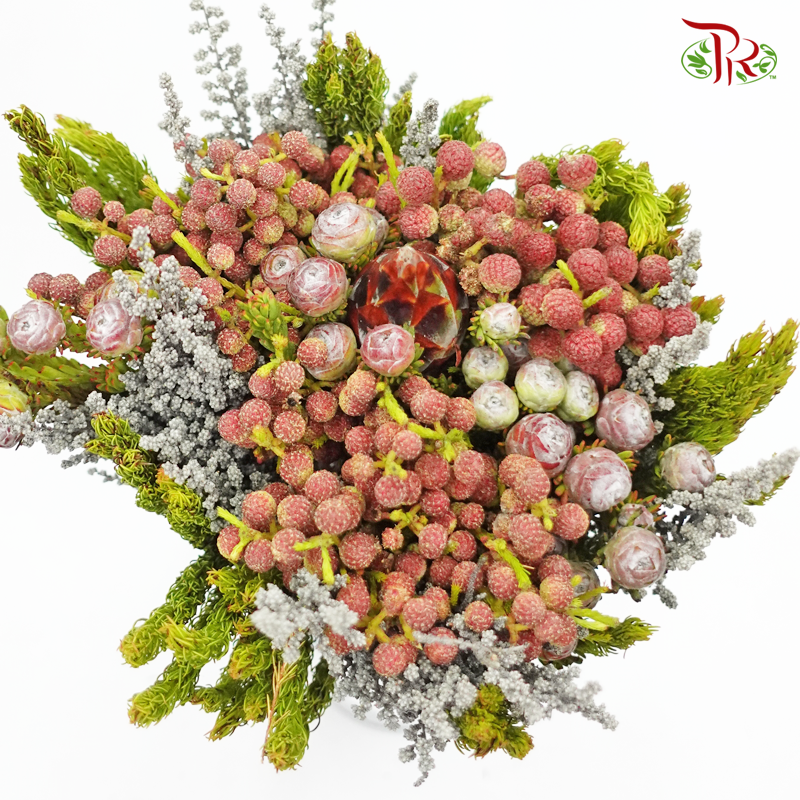 Safari Mix (Cone/Cape) Bouquet - #13 (Per Bunch) **Random Choose Cone/Fillers-Africa-prflorist.com.my
