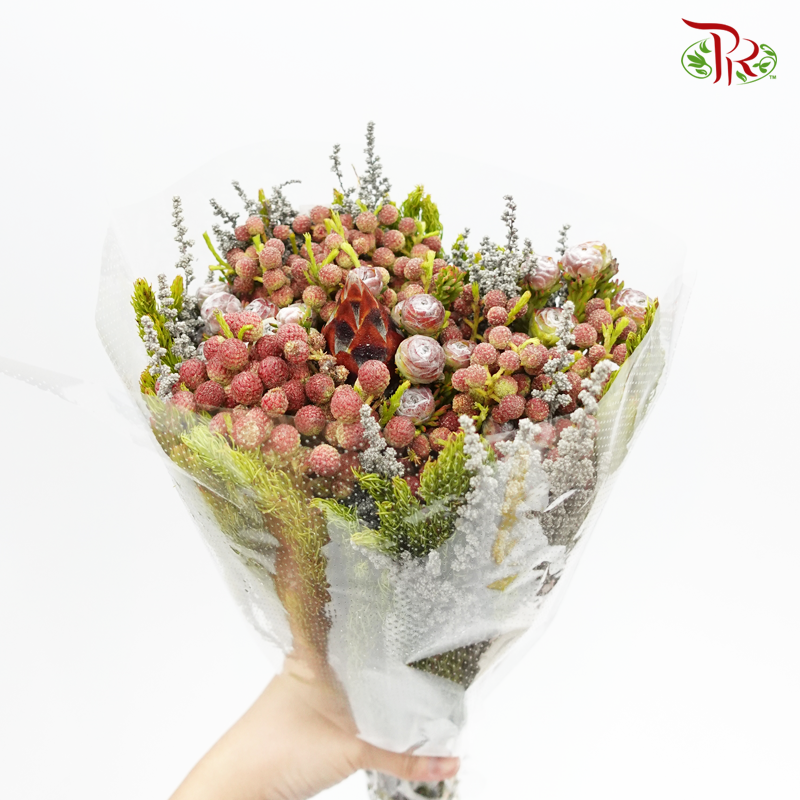 Safari Mix (Cone/Cape) Bouquet - #13 (Per Bunch) **Random Choose Cone/Fillers-Africa-prflorist.com.my