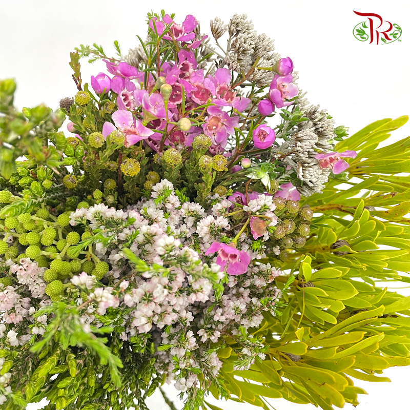 Safari Mix (Cone/Cape) Bouquet With Wax Flower (Per Bunch)-Africa-prflorist.com.my
