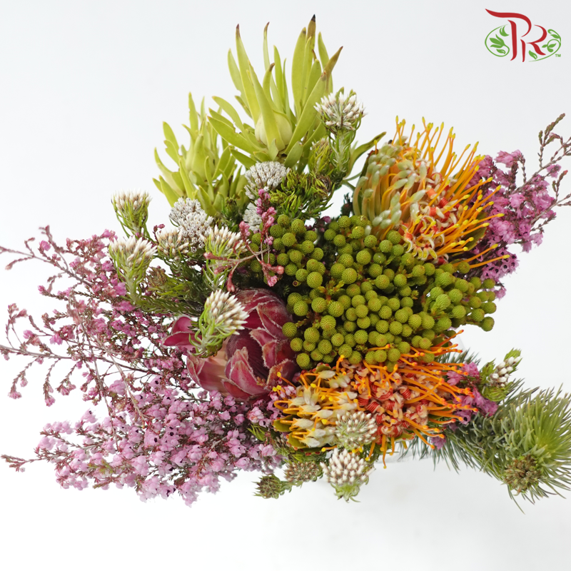 Safari Mix (Cone/Cape/River) - #18 (Per Bunch) **Random Choose Cone/Fillers-Africa-prflorist.com.my
