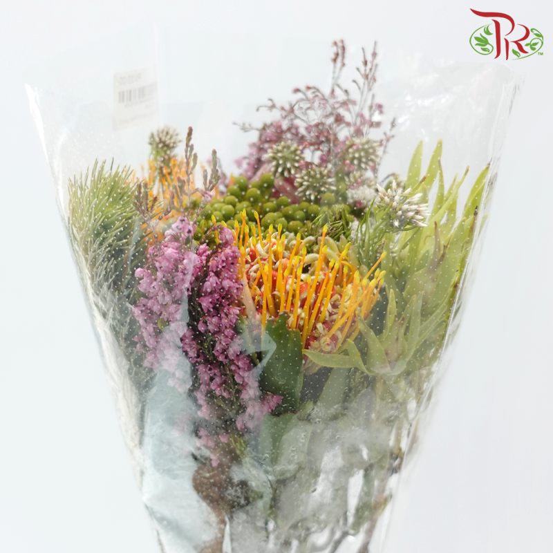 Safari Mix (Cone/Cape/River) - #18 (Per Bunch) **Random Choose Cone/Fillers-Africa-prflorist.com.my