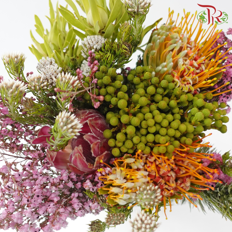 Safari Mix (Cone/Cape/River) - #18 (Per Bunch) **Random Choose Cone/Fillers-Africa-prflorist.com.my