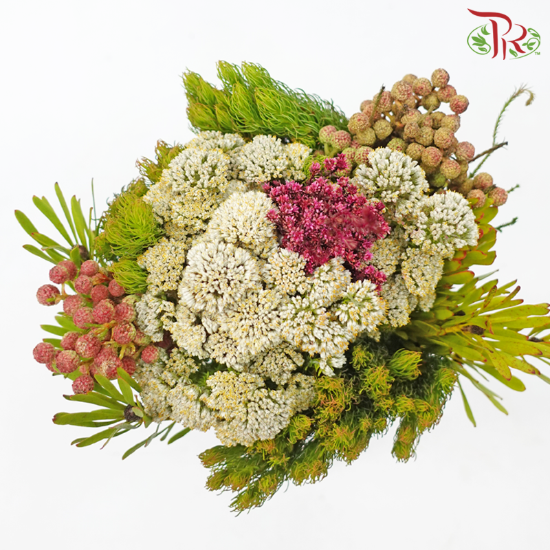 Safari Mix (Cone/Cape/River) - #3 (Per Bunch) **Random Choose Cone/Fillers-Pink-Africa-prflorist.com.my