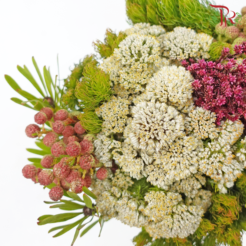 Safari Mix (Cone/Cape/River) **Random Choose Cone/Fillers