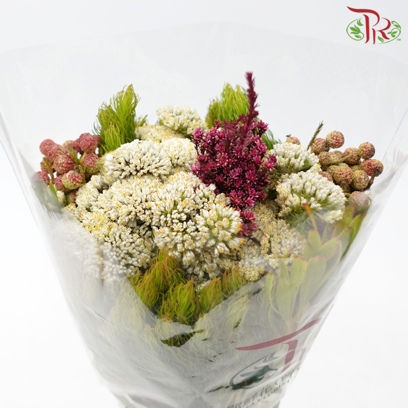 Safari Mix (Cone/Cape/River) **Random Choose Cone/Fillers