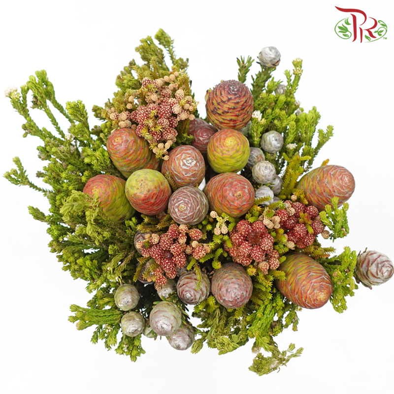 Safari Mix (Cone/Cape/River) - #4 (Per Bunch) **Random Cone/Fillers-Africa-prflorist.com.my