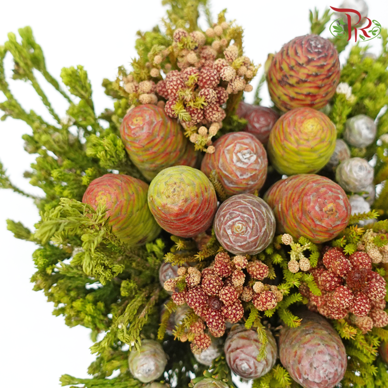 Safari Mix (Cone/Cape/River) - #4 (Per Bunch) **Random Cone/Fillers-Africa-prflorist.com.my