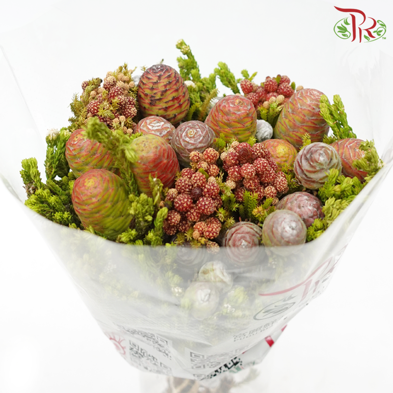 Safari Mix (Cone/Cape/River) **Random Choose Cone/Fillers