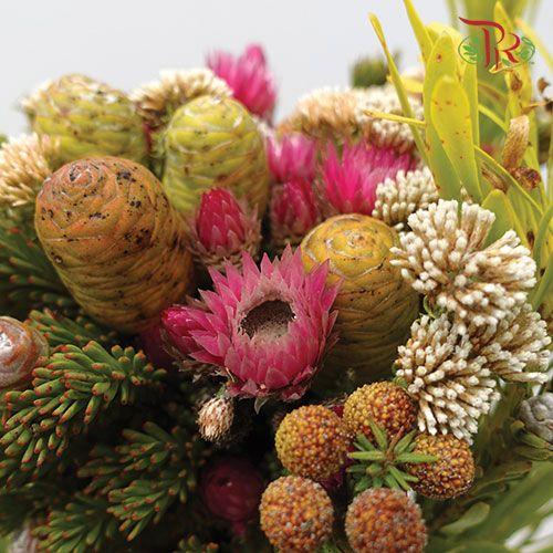 Safari Mix (Cone/Cape/River) - (Per Bunch) - 1-Pink-Africa-prflorist.com.my