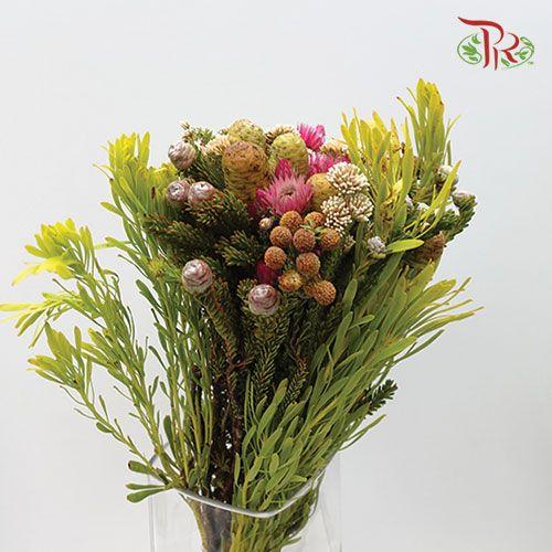 Safari Mix (Cone/Cape/River) - (Per Bunch) - 1-Pink-Africa-prflorist.com.my