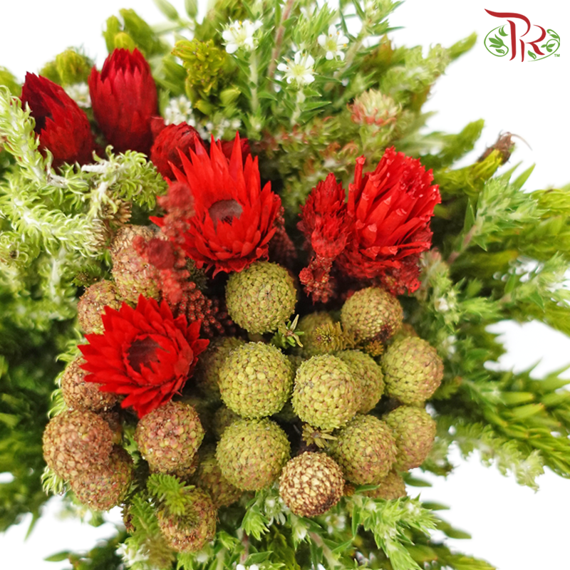 Safari Mix (Cone/Cape/River) - (Per Bunch) - #16-Africa-prflorist.com.my