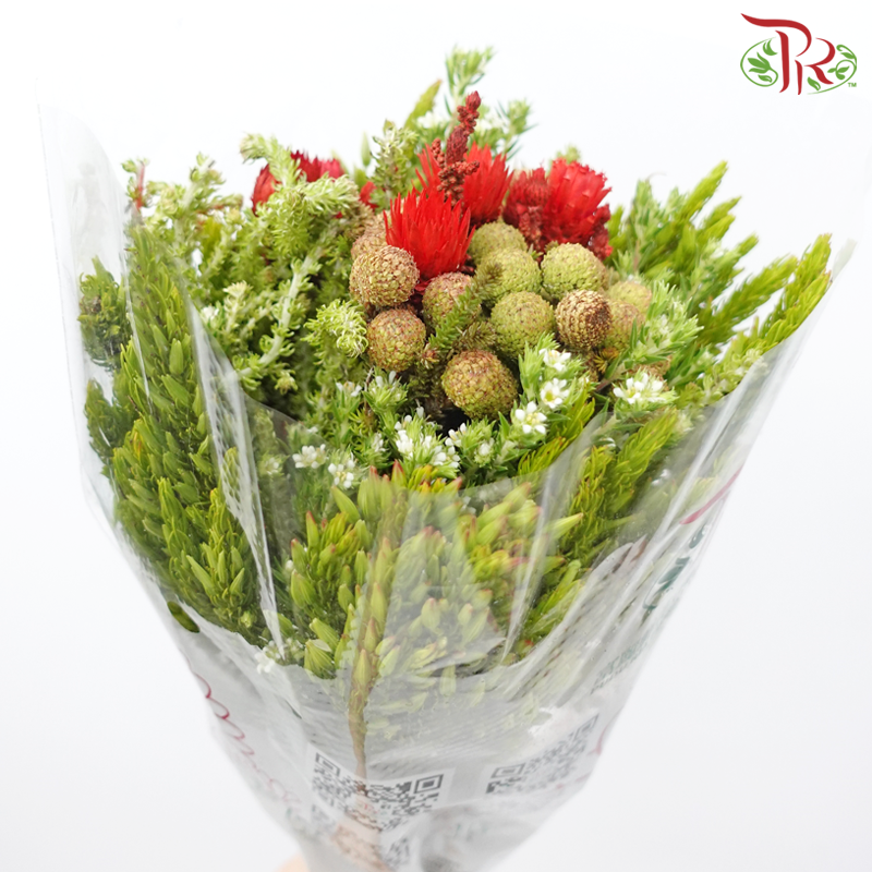 Safari Mix (Cone/Cape/River) - (Per Bunch) - #16-Africa-prflorist.com.my