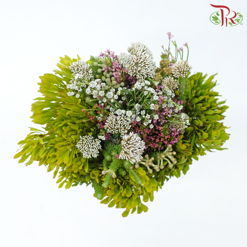 Safari Mix (Cone/Cape/River) - (Per Bunch) - #17-Africa-prflorist.com.my