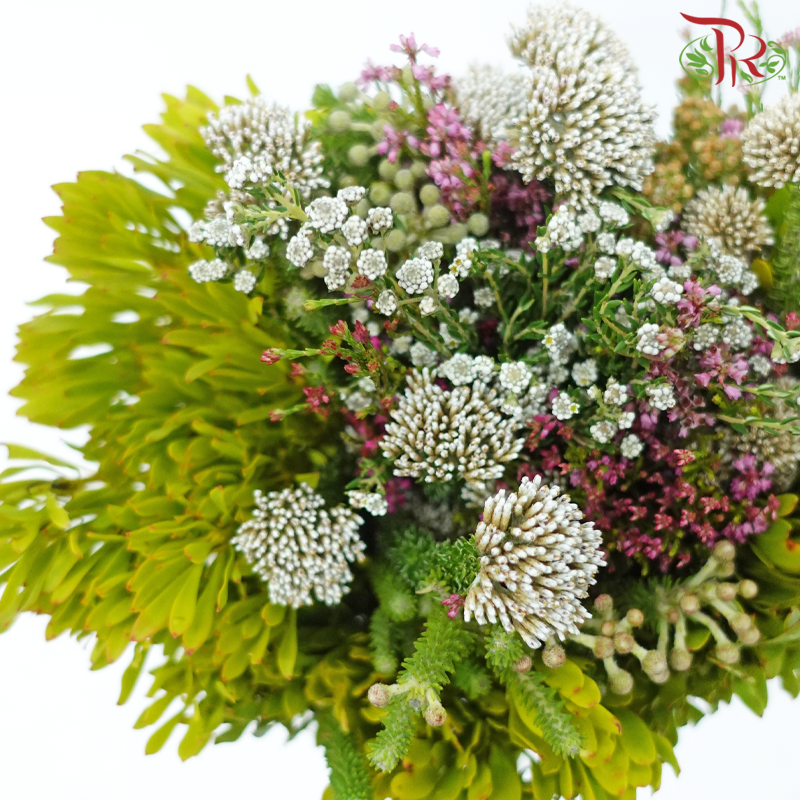 Safari Mix (Cone/Cape/River) - (Per Bunch) - #17-Africa-prflorist.com.my