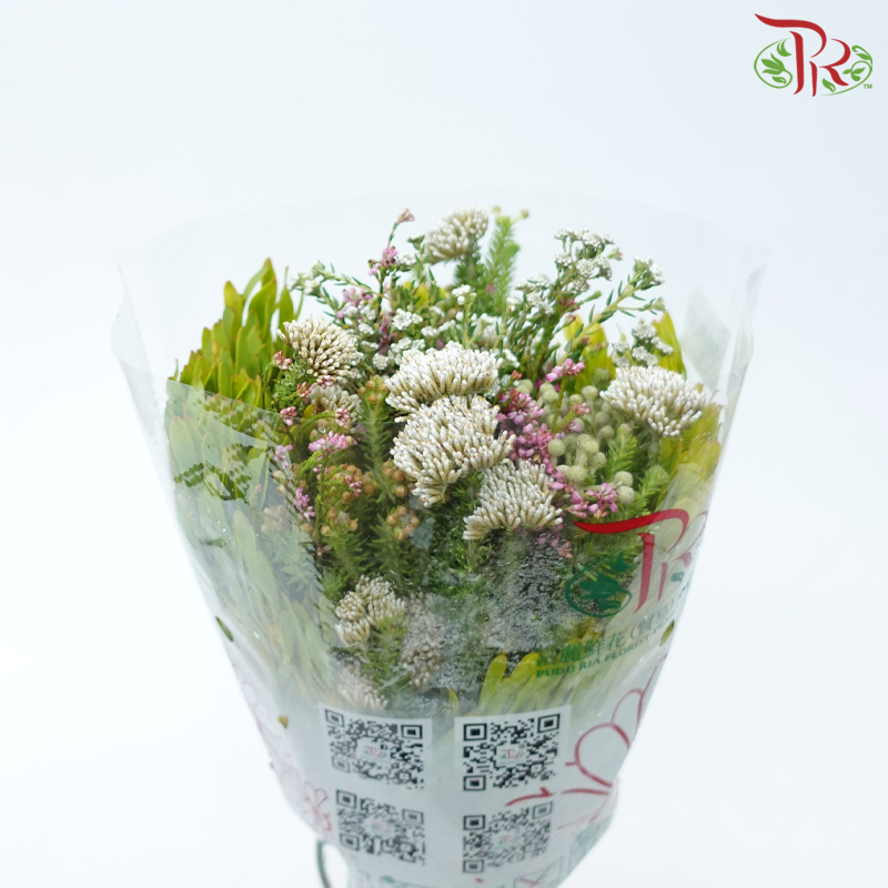 Safari Mix (Cone/Cape/River) - (Per Bunch) - #17-Africa-prflorist.com.my