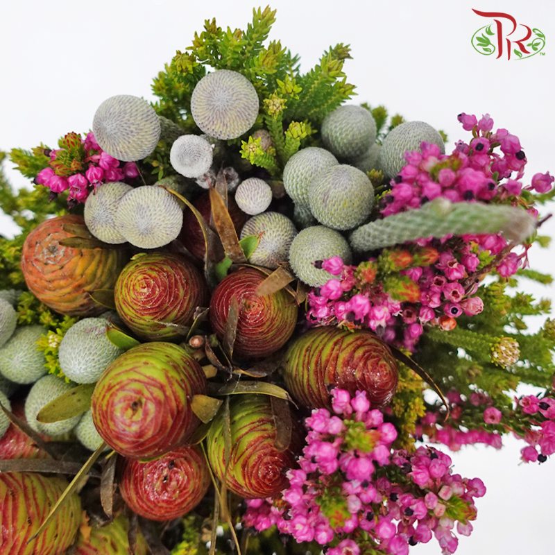 Safari Mix (Cone / Cape) **Random Choose Cone/Fillers