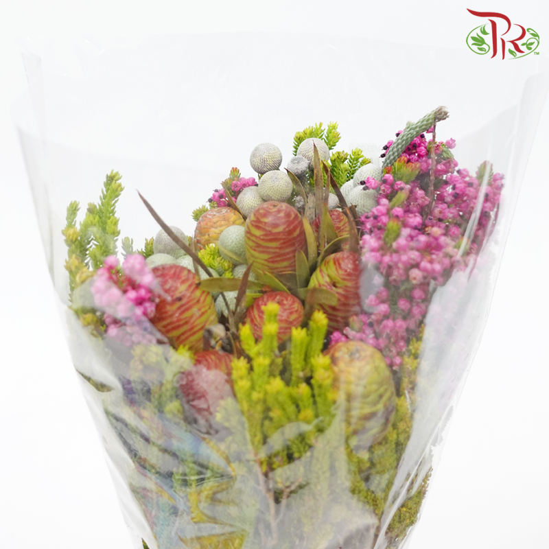 Safari Mix (Cone / Cape) - Silver Brunia With Erica (Per Bunch) **Random Choose Cone/Fillers-Africa-prflorist.com.my