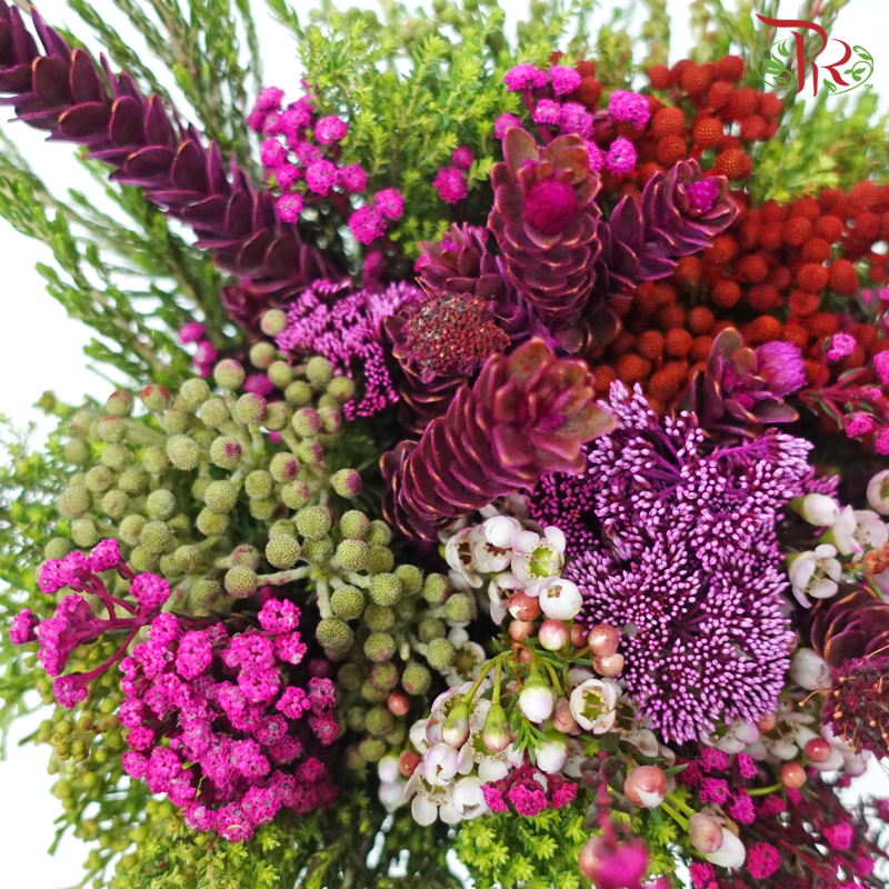 Safari Mix (Cone / Cape) - Tone Cherry Pink (Per Bunch) **Random Choose Cone/Fillers-Cherry Pink-Africa-prflorist.com.my