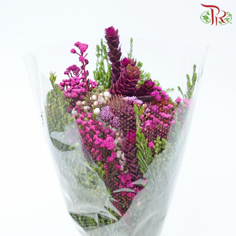 Safari Mix (Cone / Cape) - Tone Cherry Pink (Per Bunch) **Random Choose Cone/Fillers-Cherry Pink-Africa-prflorist.com.my