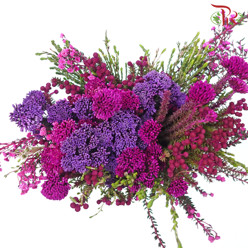Safari Mix (Cone / Cape) - Tone Purple With Cherry Pink (Per Bunch) **Random Choose Cone/Fillers-Africa-prflorist.com.my
