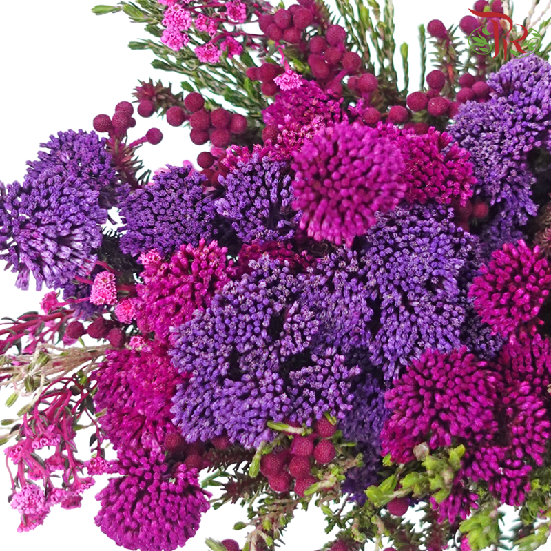 Safari Mix (Cone / Cape) - Tone Purple With Cherry Pink (Per Bunch) **Random Choose Cone/Fillers-Africa-prflorist.com.my