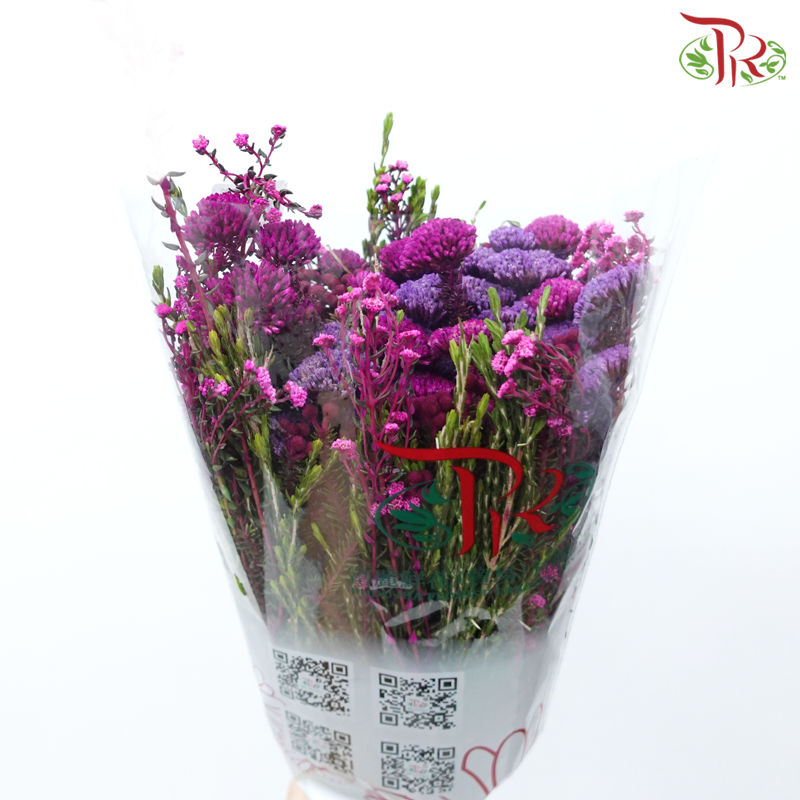 Safari Mix (Cone / Cape) - Tone Purple With Cherry Pink (Per Bunch) **Random Choose Cone/Fillers-Africa-prflorist.com.my