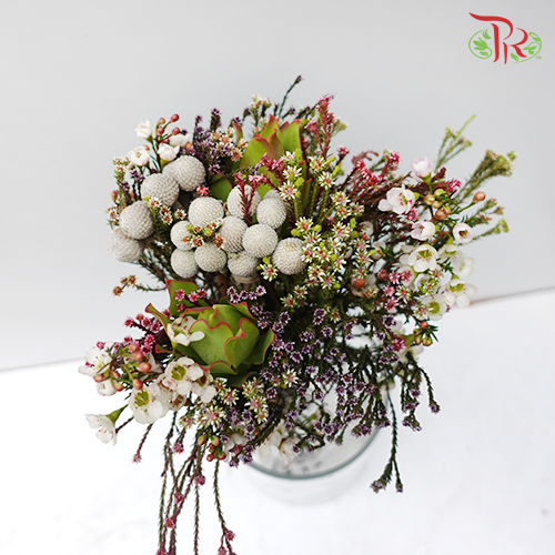 Safari Mix Random - (Cone/Cape/Wax)-White-Africa-prflorist.com.my