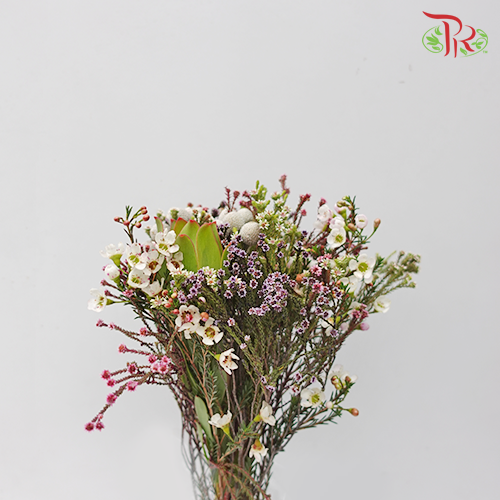 Safari Mix Random - (Cone/Cape/Wax)-White-Africa-prflorist.com.my