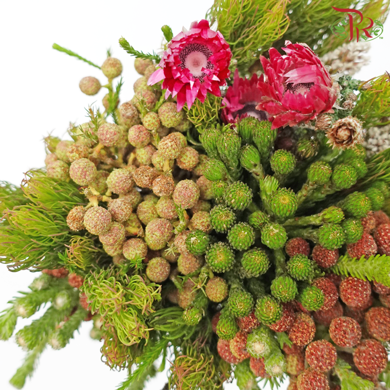 Safari Mix (Random Mixed Cone/Cape/River) - #5 (Per Bunch) **Random Cone/Fillers-Africa-prflorist.com.my