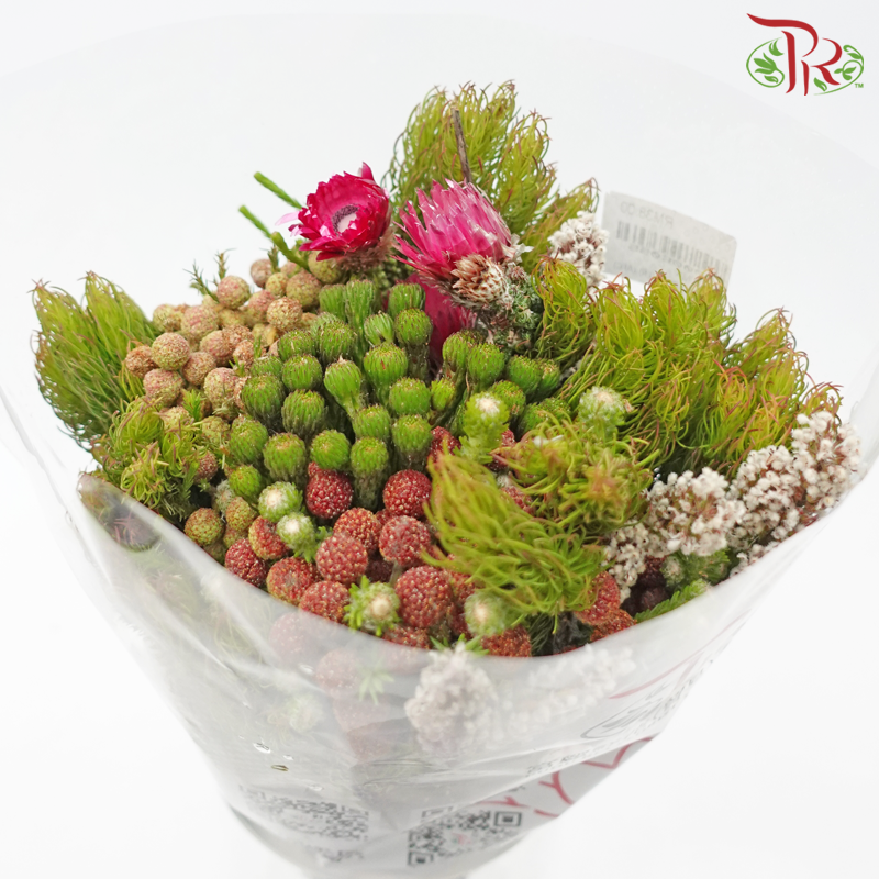 Safari Mix (Random Mixed Cone/Cape/River) - #5 (Per Bunch) **Random Cone/Fillers-Africa-prflorist.com.my