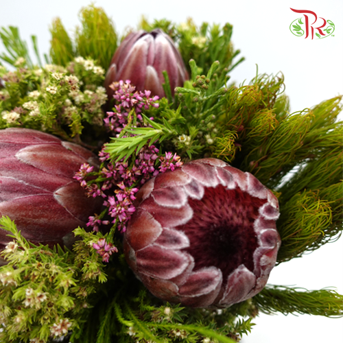 Safari Premium Bouquet - 1 (Per Bunch) **Random Cone/Fillers-Pink-Africa-prflorist.com.my