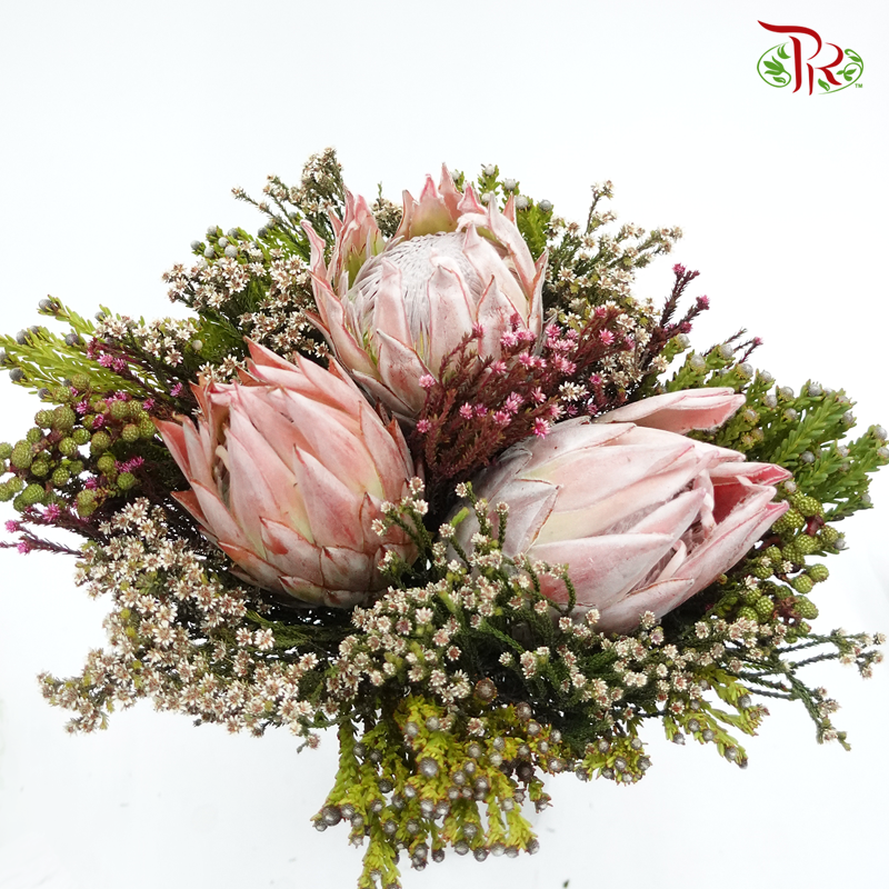 Safari Premium Bouquet - #11 (Per Bunch) **Random Cone/Fillers-Pink-Africa-prflorist.com.my