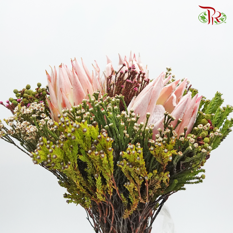 Safari Premium Bouquet - #11 (Per Bunch) **Random Cone/Fillers-Pink-Africa-prflorist.com.my