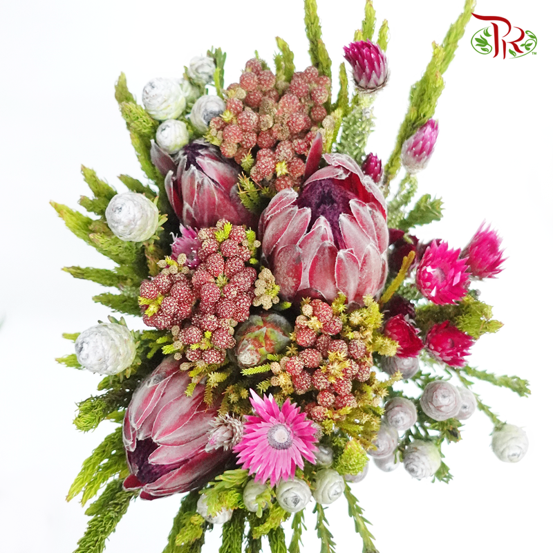 Safari Premium Bouquet - #12 (Per Bunch) **Random Cone/Fillers-Pink-Africa-prflorist.com.my