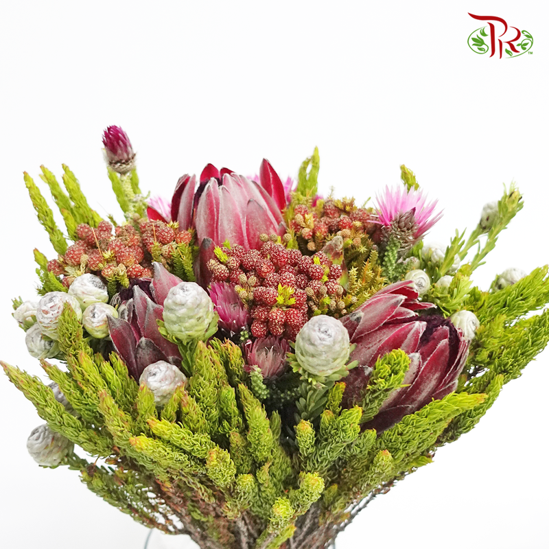 Safari Premium Bouquet - #12 (Per Bunch) **Random Cone/Fillers-Pink-Africa-prflorist.com.my