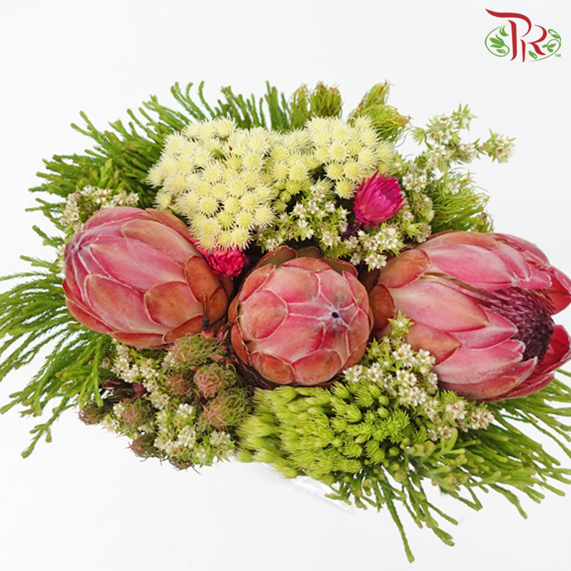 Safari Premium Bouquet - #13 (Per Bunch) **Random Cone/Fillers-Africa-prflorist.com.my