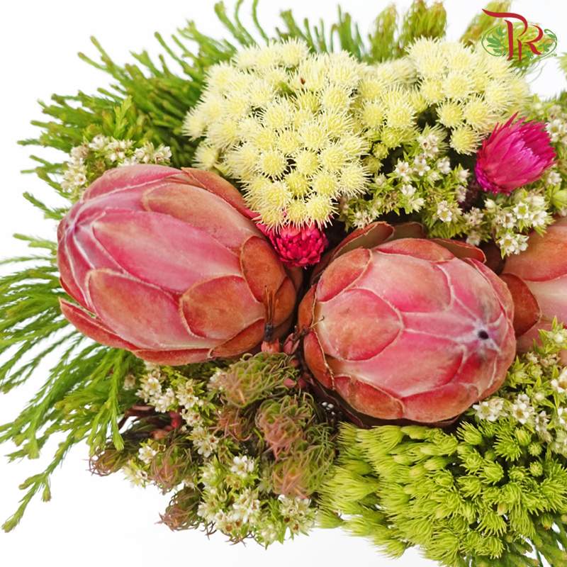 Safari Premium Bouquet - #13 (Per Bunch) **Random Cone/Fillers-Africa-prflorist.com.my