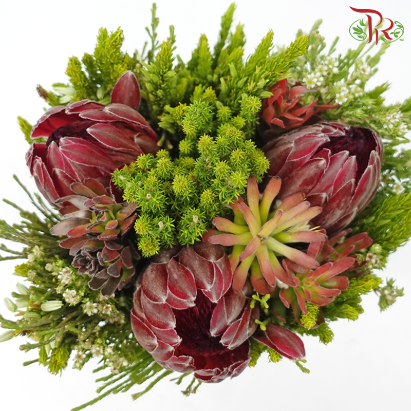 Safari Premium Bouquet - #15 (Per Bunch) **Random Cone/Fillers-Africa-prflorist.com.my