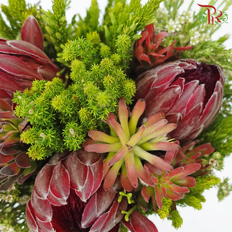 Safari Premium Bouquet - #15 (Per Bunch) **Random Cone/Fillers-Africa-prflorist.com.my