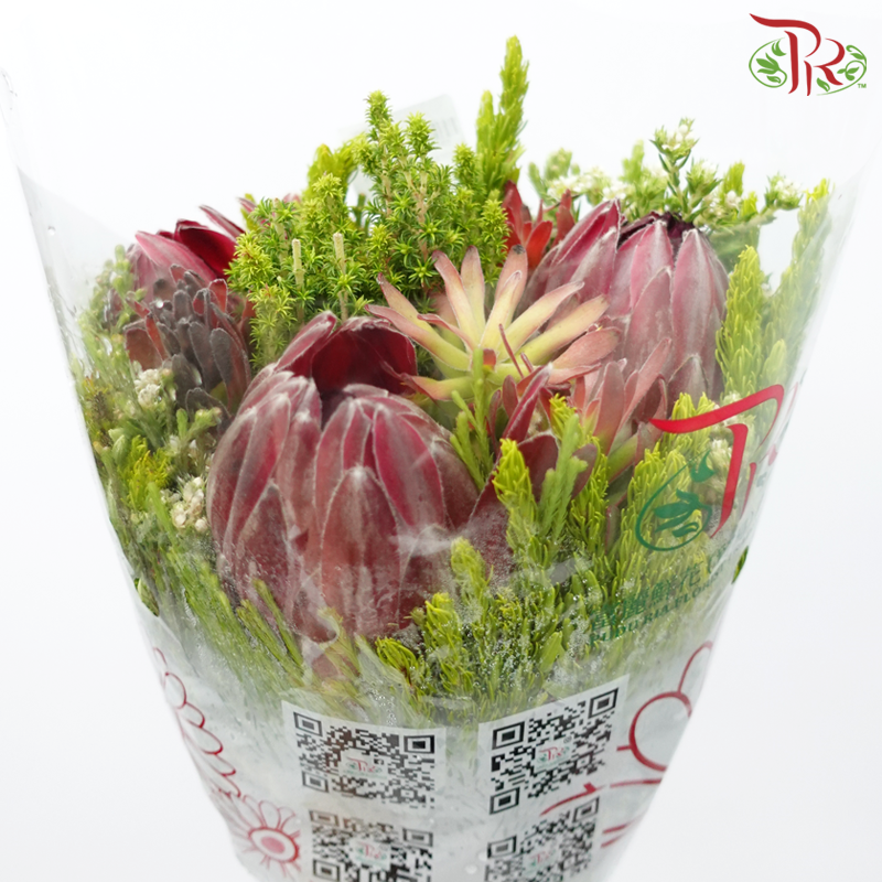 Safari Premium Bouquet - #15 (Per Bunch) **Random Cone/Fillers-Africa-prflorist.com.my