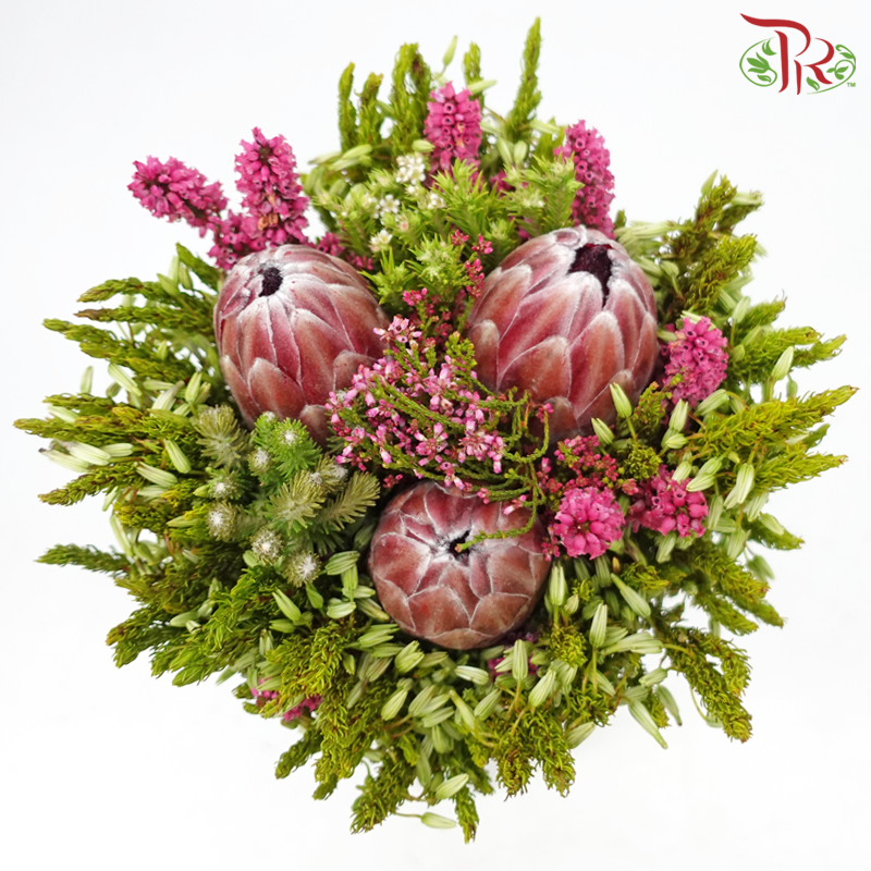 Safari Premium Bouquet - #16 (Per Bunch) **Random Cone/Fillers-Africa-prflorist.com.my